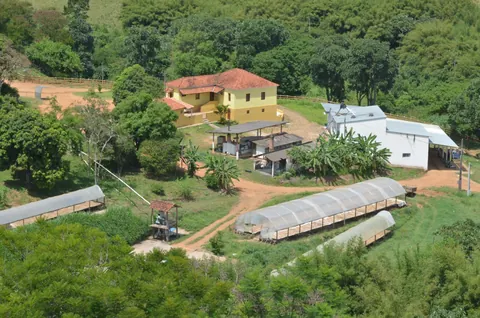 Vista da casa, das estufas e da vegetação da Fazenda Santa Terezinha.